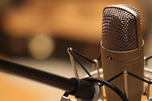 2019深圳文化傳媒公司注冊指南 聚焦文化藝術交流策劃